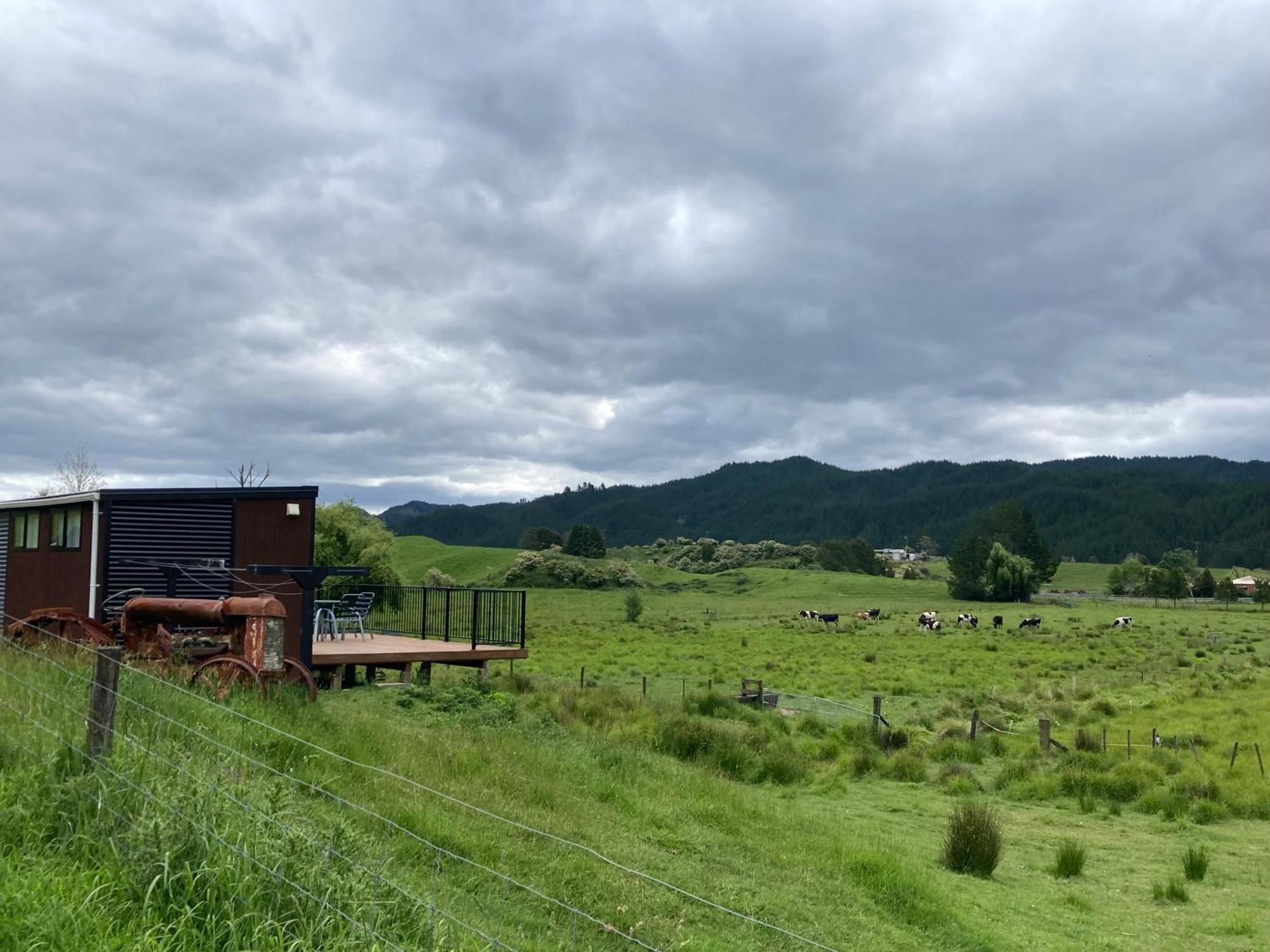 White Pine Bush Cabins Taneatua المظهر الخارجي الصورة